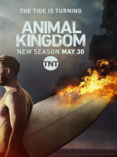 voir serie Animal Kingdom saison 2