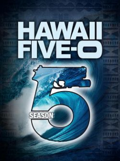 voir Hawaii Five-0 (2010) saison 5 épisode 22