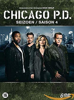 voir Chicago Police Department Saison 4 en streaming 