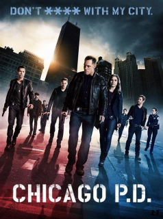 voir Chicago Police Department Saison 6 en streaming 