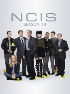 voir NCIS : Enquêtes spéciales Saison 14 en streaming 