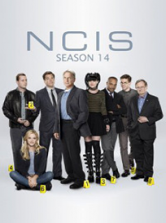 voir NCIS : Enquêtes spéciales saison 14 épisode 22