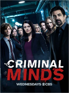 voir Esprits criminels saison 5 épisode 12