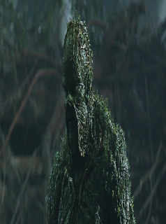 voir Swamp Thing saison 1 épisode 9