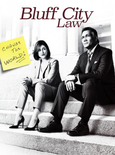 voir serie Bluff City Law en streaming