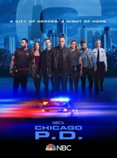 voir Chicago Police Department saison 7 épisode 5