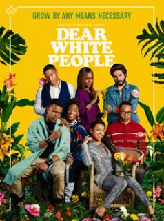 voir Dear White People Saison 3 en streaming 