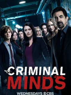 voir Esprits criminels saison 13 épisode 17