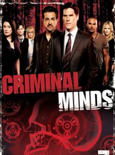 voir Esprits criminels Saison 7 en streaming 