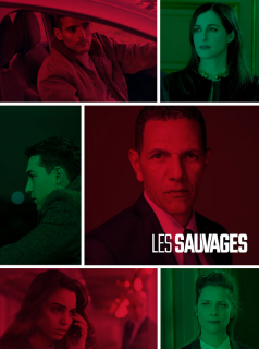 voir serie Les Sauvages en streaming