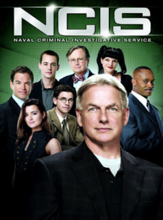 voir NCIS : Enquêtes spéciales saison 17 épisode 16