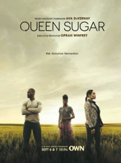 voir Queen Sugar Saison 1 en streaming 