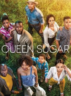 voir Queen Sugar Saison 3 en streaming 