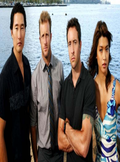 voir serie Hawaii Five-0 (2010) saison 10