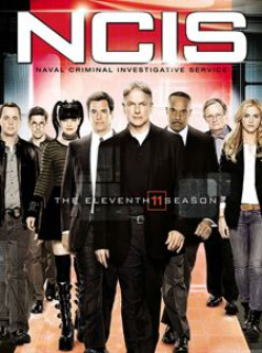 voir NCIS : Enquêtes spéciales saison 11 épisode 10