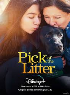 voir serie Pick of the Litter en streaming