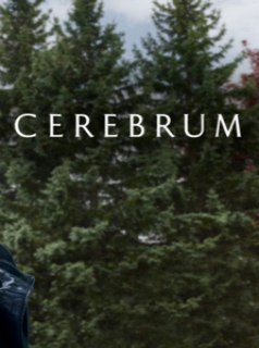 voir Cerebrum Saison 3 en streaming 