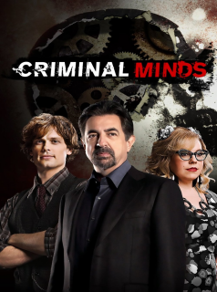 voir Esprits criminels saison 15 épisode 9