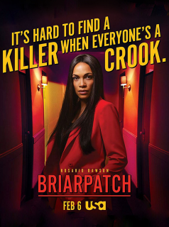 voir serie Briarpatch en streaming