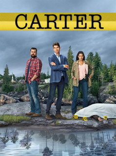 voir serie Carter en streaming