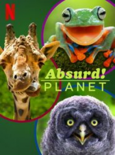 voir serie Absurd Planet saison 1