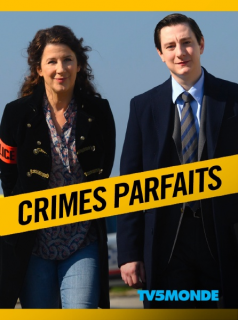 voir serie Crimes parfaits en streaming