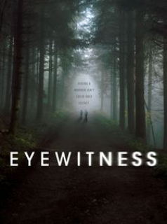 voir Eyewitness Saison 1 en streaming 