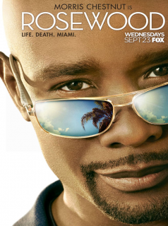 voir serie Rosewood en streaming