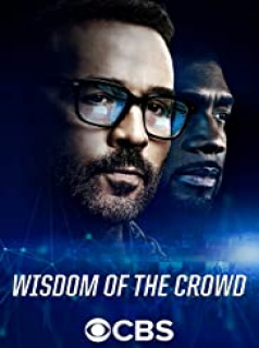 voir serie Wisdom of the Crowd en streaming