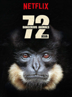 voir 72 animaux dangereux en Asie Saison 1 en streaming 