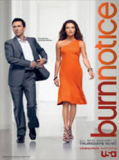 voir serie Burn Notice saison 4