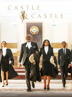 voir serie Castle & Castle en streaming