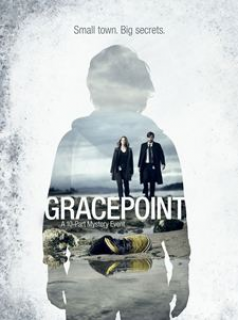 voir Gracepoint Saison 1 en streaming 