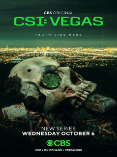 voir CSI: Vegas Saison 1 en streaming 