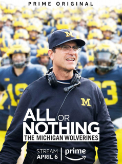 voir serie All or Nothing en streaming