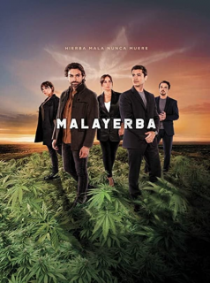 voir serie MALAYERBA en streaming