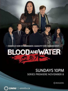 voir serie Blood and Water en streaming