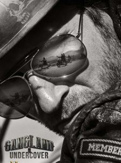 voir serie Gangland Undercover saison 2