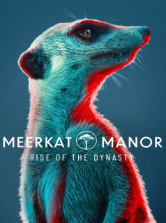 voir serie Meerkat Manor : Rise of the Dynasty en streaming