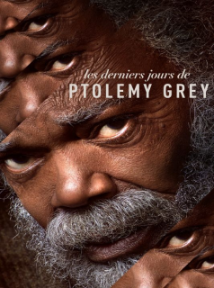 voir serie Les derniers jours de Ptolemy Grey en streaming