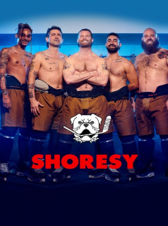 voir serie Shoresy en streaming