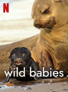 voir Wild Babies : Petits et Sauvages saison 1 épisode 1