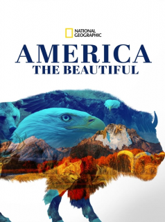 voir serie America the Beautiful en streaming