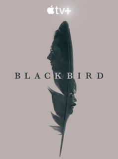 voir serie Black Bird en streaming