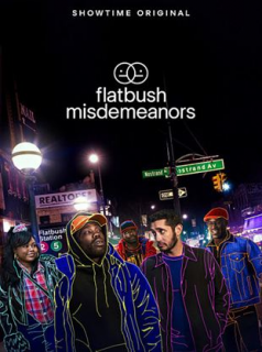 voir serie Flatbush Misdemeanors saison 2