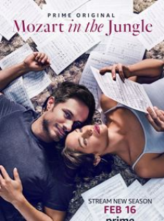 voir Mozart in the Jungle Saison 4 en streaming 