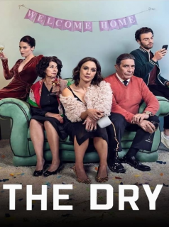 voir serie The Dry en streaming