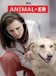 voir Urgences Animales saison 2 épisode 6