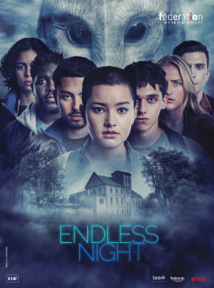 voir serie Endless Night en streaming