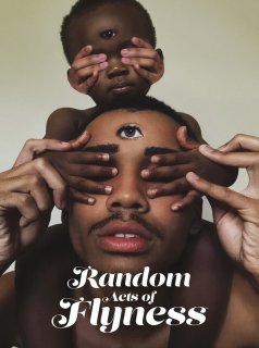 voir serie Random Acts of Flyness en streaming